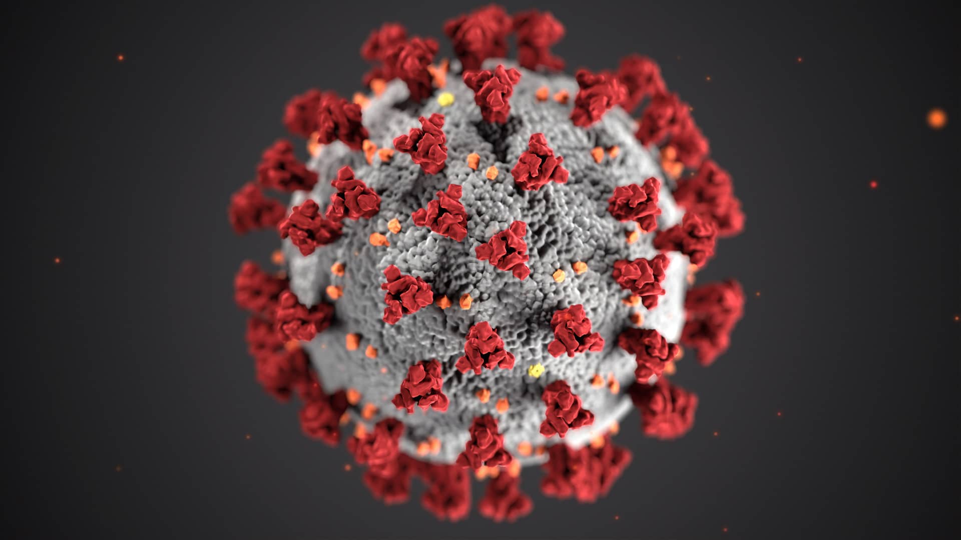 Coronavirus disease (COVID-19) is an infectious disease caused by a new virus.