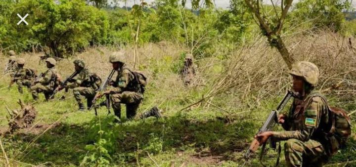 Ituri : 16 miliciens CODECO coalisés au FPIC neutralisés par les FARDC à Djugu