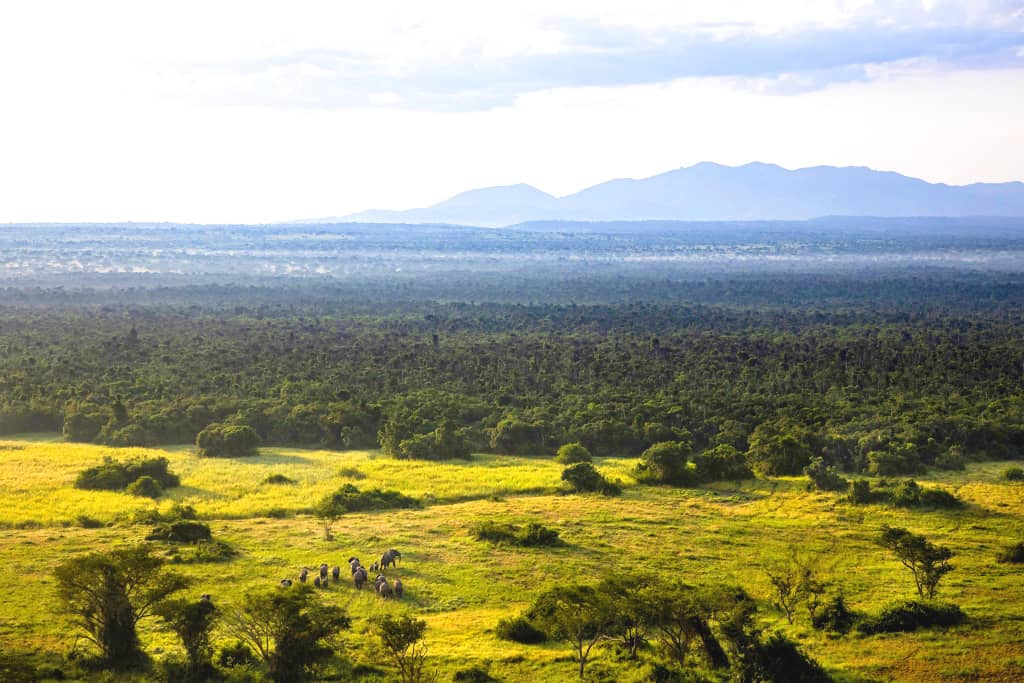 Nord-Kivu : deux combattants de la FDLR tués dans le Parc National des Virunga