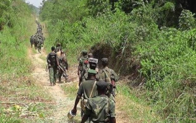 Ituri : 2 rebelles ADF neutralisés par les FARDC dans une patrouille de combat près de Ndalya