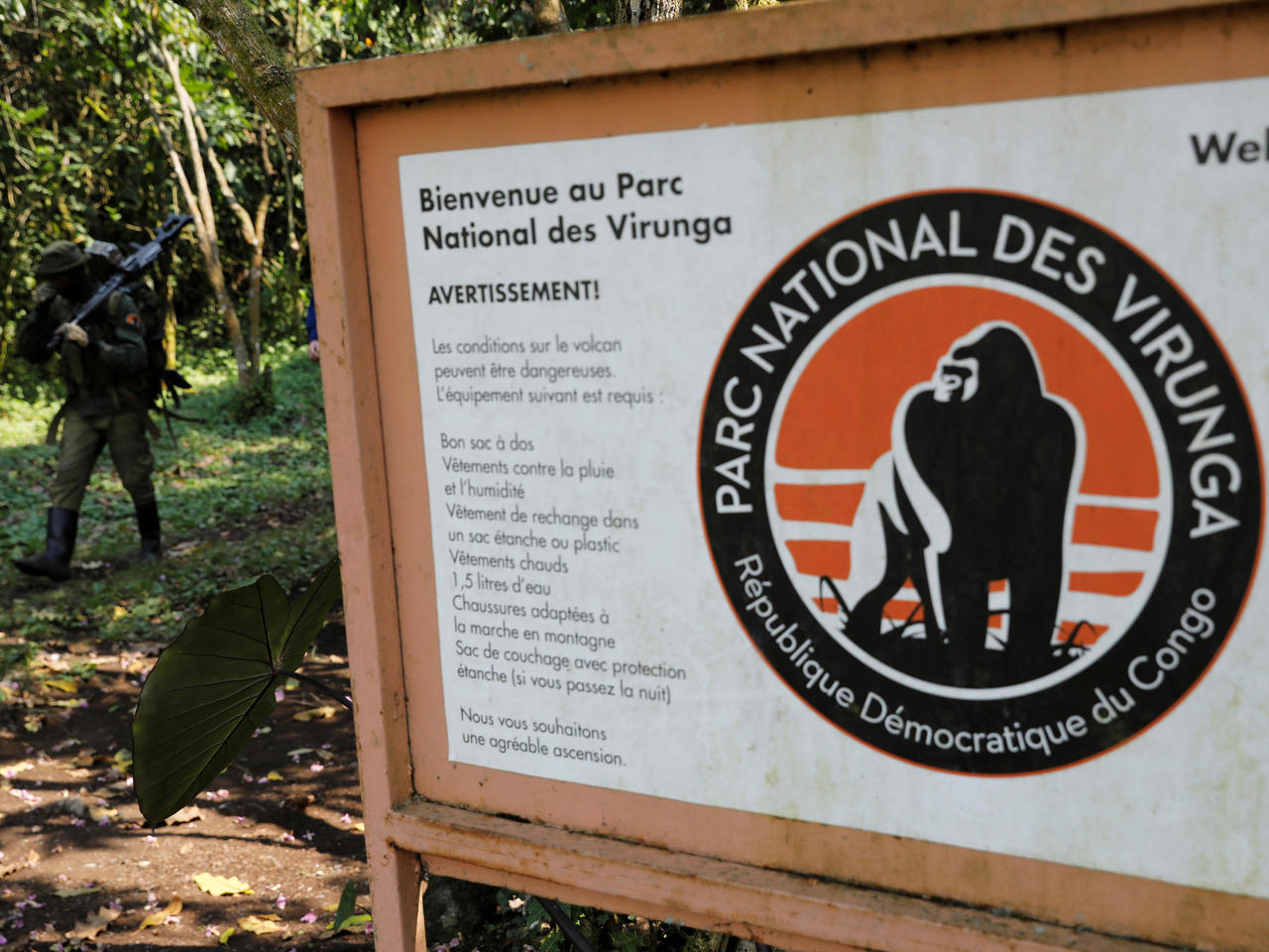 Nord-Kivu : l’ICCN alerte sur l’occupation illégale  des terres du Parc National des Virunga