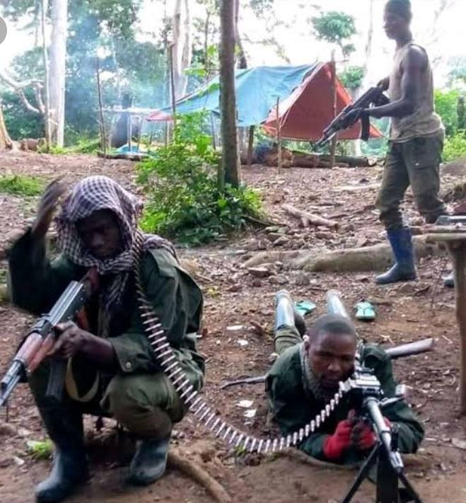 Ituri : Deux présumés miliciens Zaïre neutralisés au village Yedi près de Mugwalu