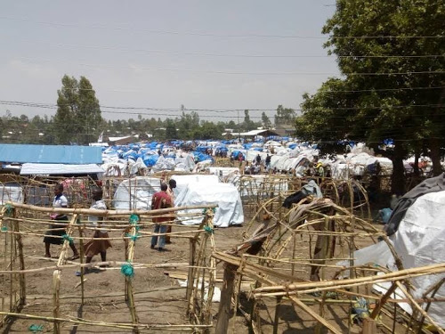 Le HCR s’insurge contre la tuerie des 12 personnes déplacées en Ituri