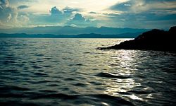 Nord-Kivu : Ouverture de l’atelier sur « la gestion de la biodiversité et des écosystèmes du bassin du Lac-Kivu’’ à Goma
