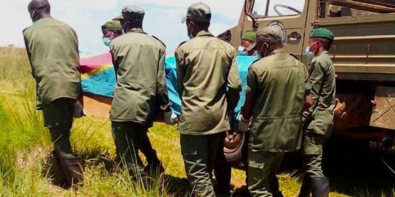 Nord-Kivu : un écorgarde tué et deux autres blessés dans le Parc National des Virunga