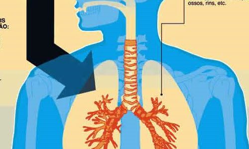 Kwilu : 14.787 malades tuberculeux détectés en 2022 sur toute l’étendue de la province (Coordination provinciale Lèpre et Tuberculose)