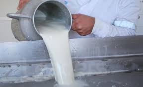 Tunisie : une hausse du prix du lait à la production pour éviter l’effondrement de la filière