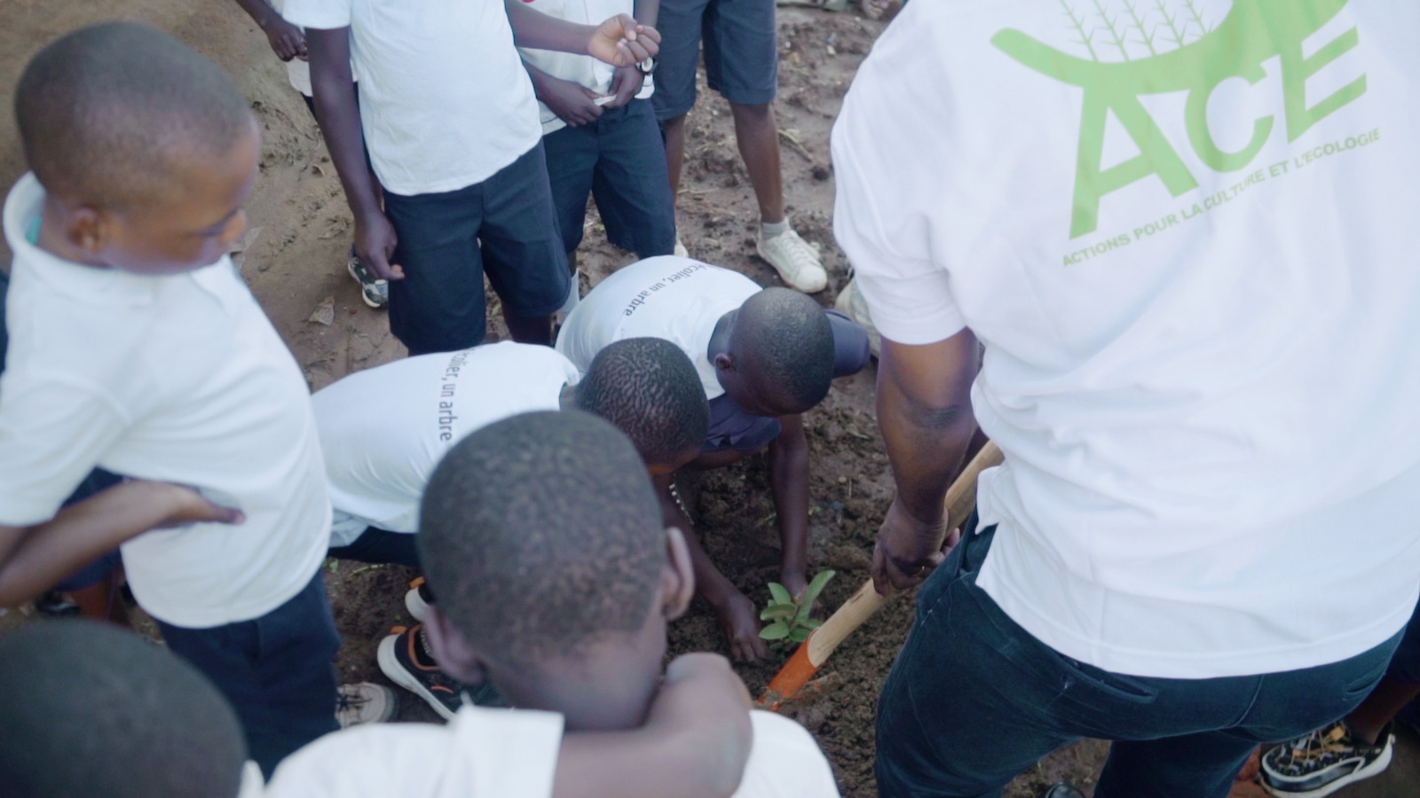 Nord-Kivu : des écoliers sensibilisés sur la protection de la nature en plantant les arbres à Butembo