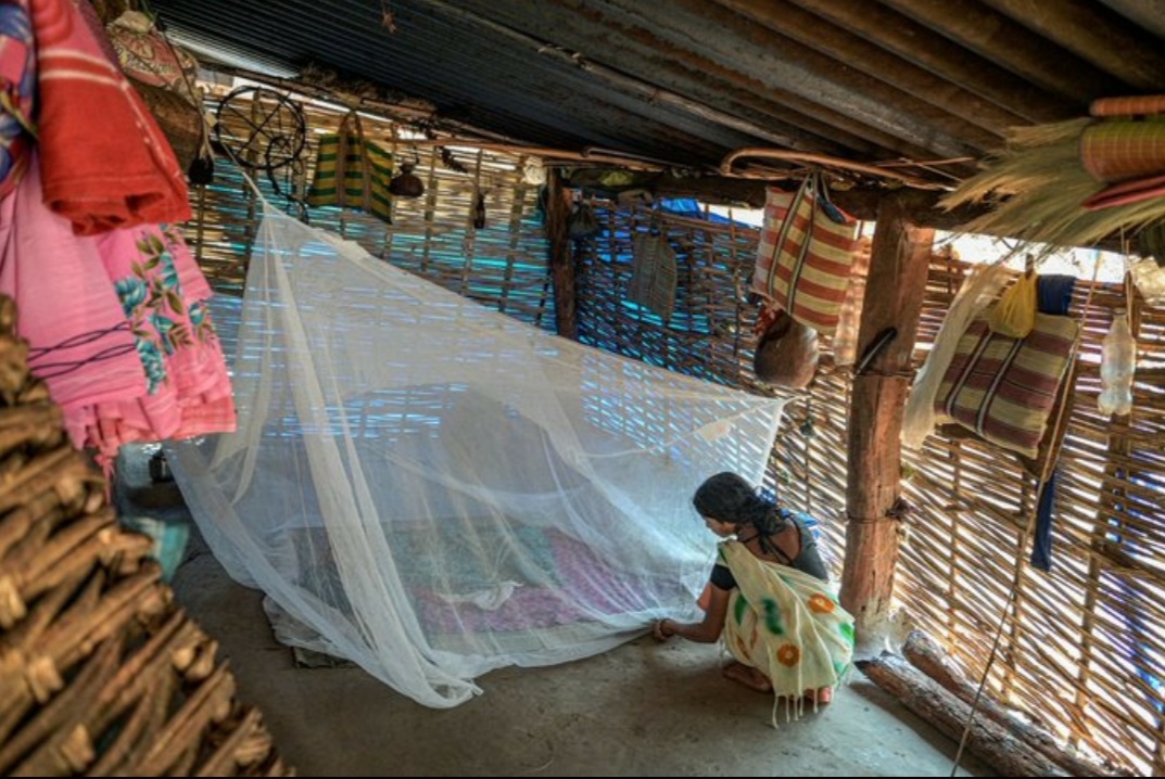 Le Cap-Vert déclaré exempt de paludisme, une étape historique dans la lutte antipaludique (OMS)